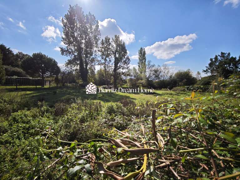 Appartement Soorts-Hossegor - 3 chambres - 90m²