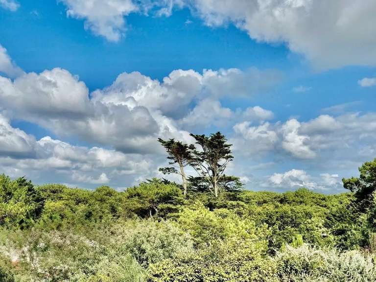 Appartement Soorts-Hossegor - 4 chambres - 175m²