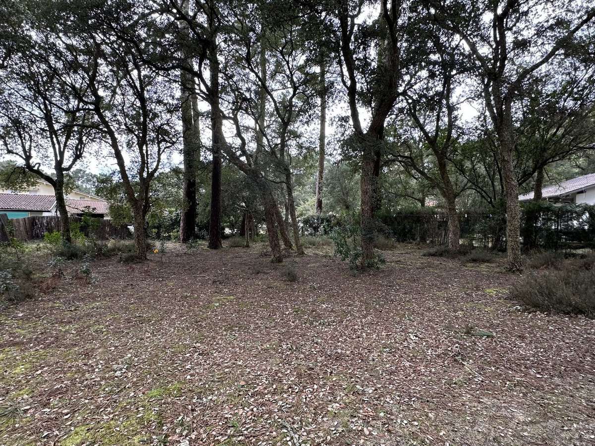 Maison Soorts-Hossegor