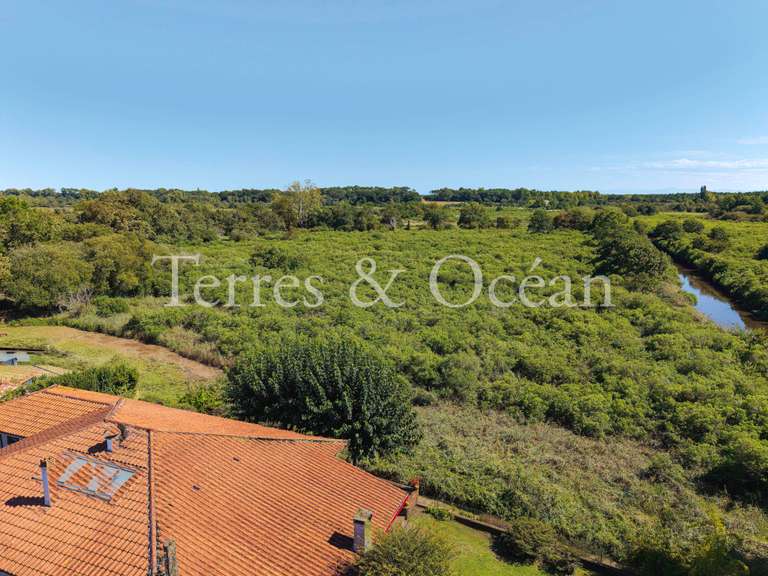 Maison Soorts-Hossegor - 5 chambres - 170m²