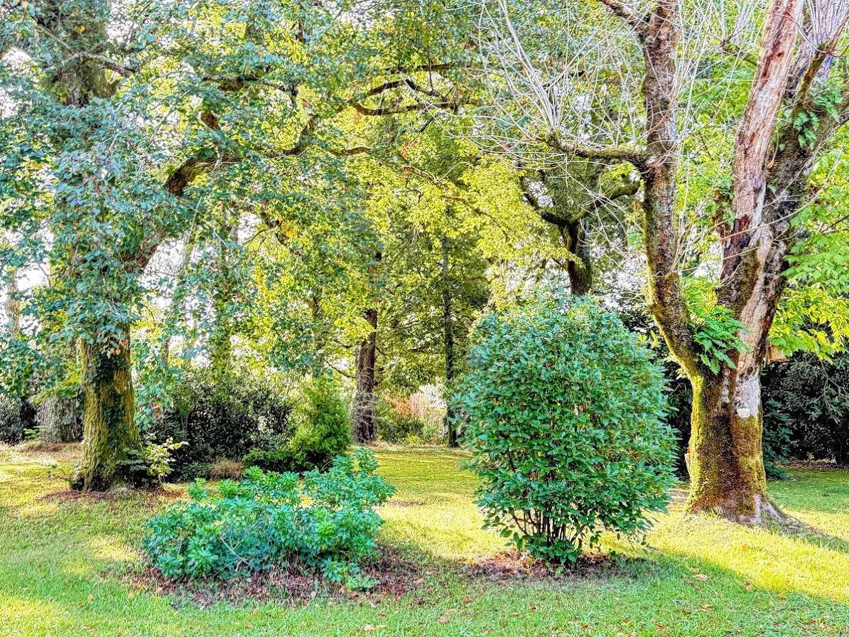 Propriété Soorts-Hossegor