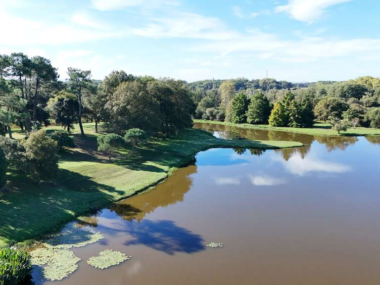 Propriété Soorts-Hossegor - 4 chambres - 500m²