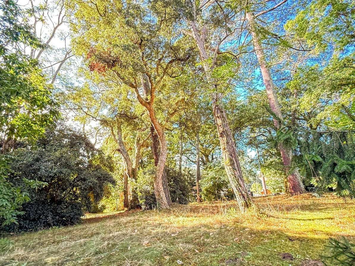 Propriété Soorts-Hossegor