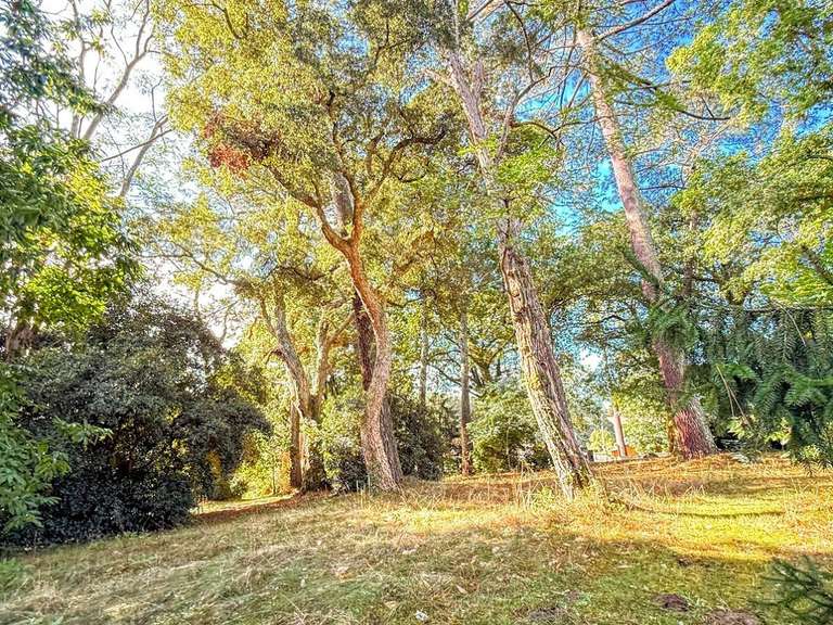 Propriété Soorts-Hossegor - 10 chambres - 500m²