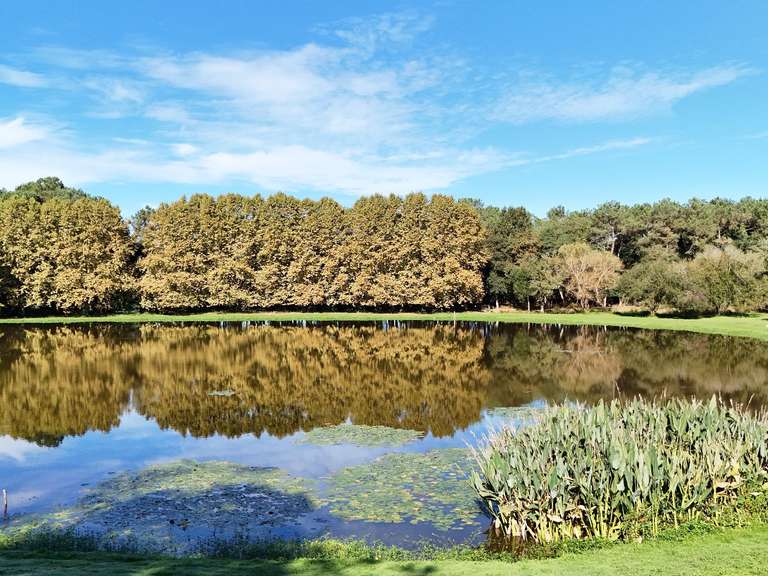 Propriété Soorts-Hossegor - 4 chambres - 500m²