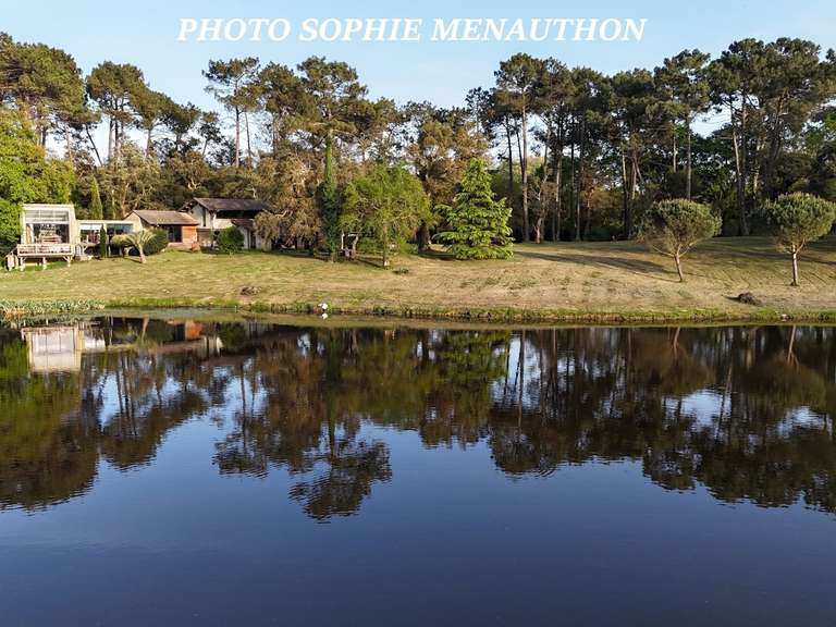 Propriété Soorts-Hossegor - 4 chambres - 500m²