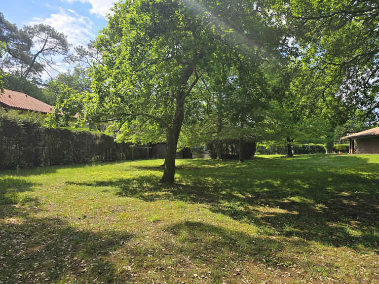 Terrain Soorts-Hossegor - 1230m²