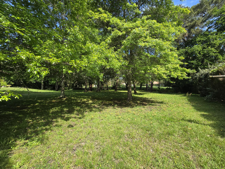 Terrain Soorts-Hossegor - 1230m²
