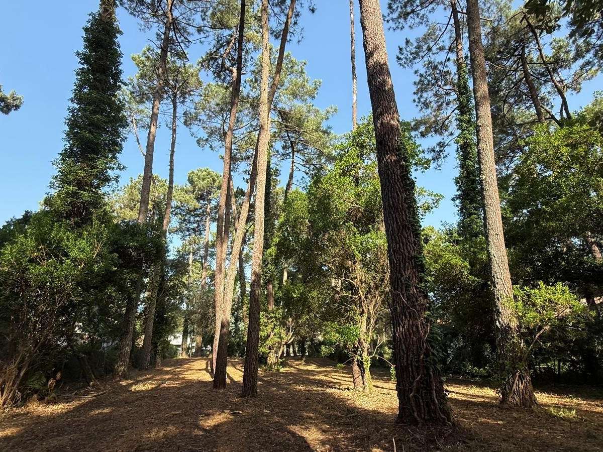 Land Soorts-Hossegor