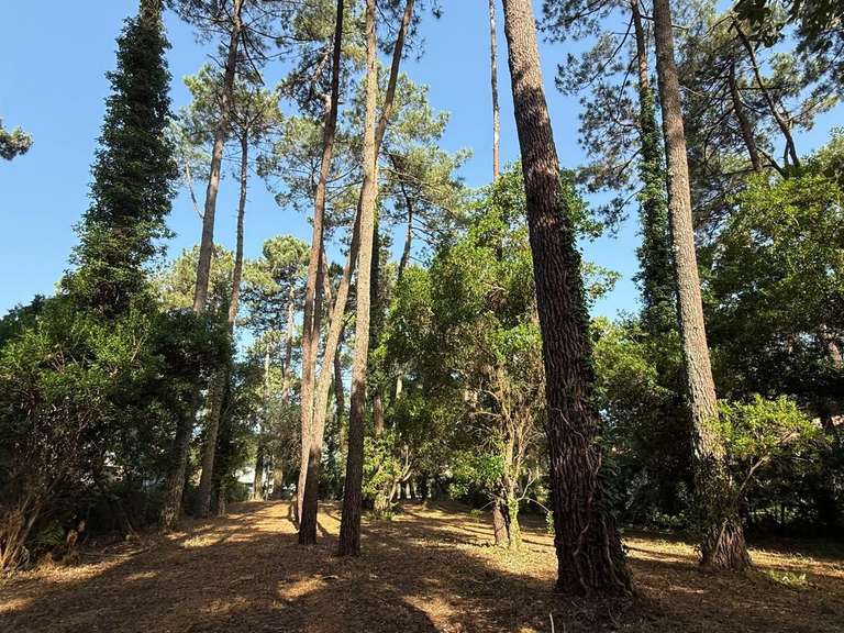 Land Soorts-Hossegor
