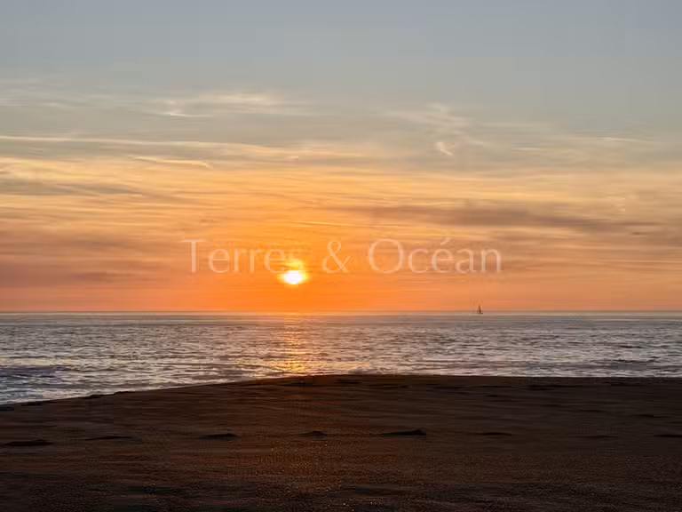 Terrain Soorts-Hossegor - 1000m²