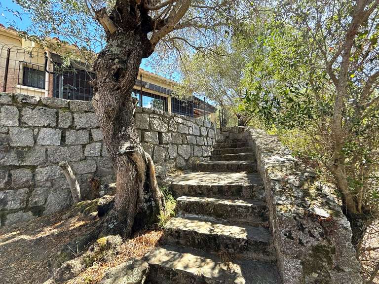 Villa Sotta - 3 chambres - 90m²