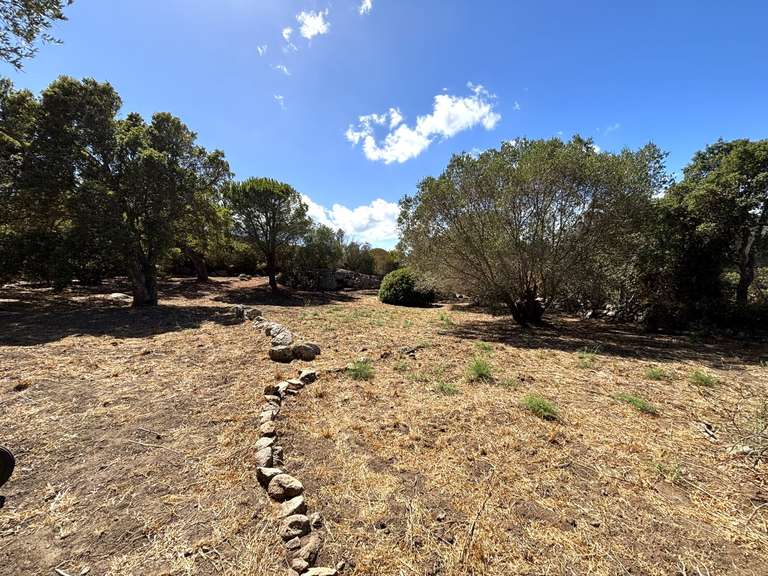 Villa Sotta - 3 chambres - 90m²