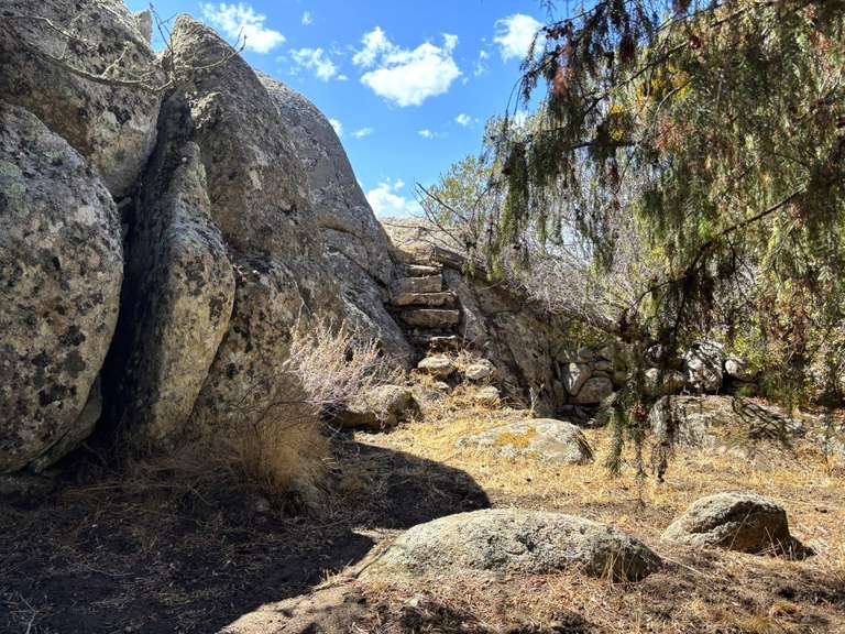 Villa Sotta - 3 chambres - 90m²