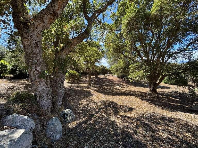 Villa Sotta - 3 chambres - 90m²