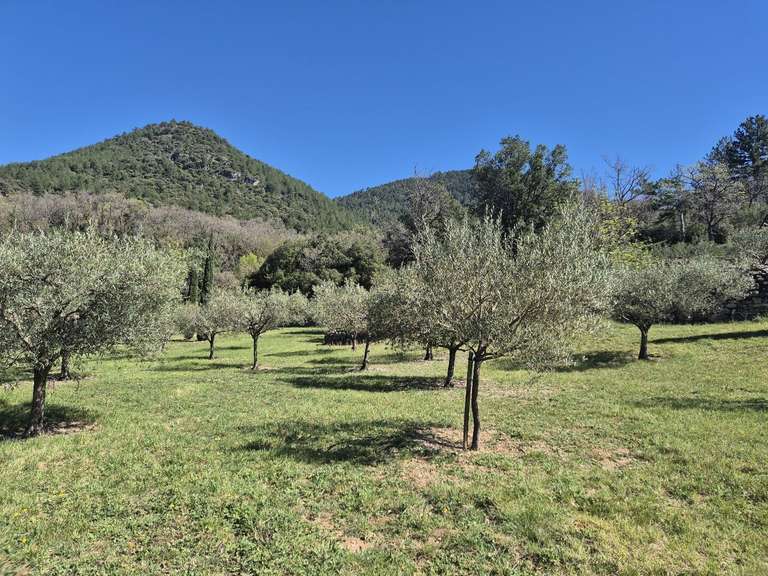 House Soubès - 4 bedrooms - 210m²