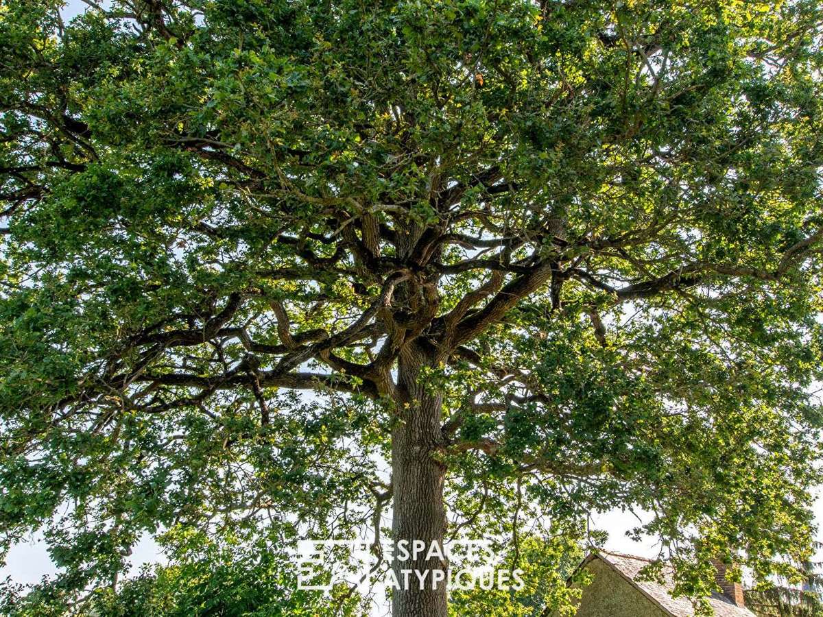 Maison Soulaire-et-Bourg