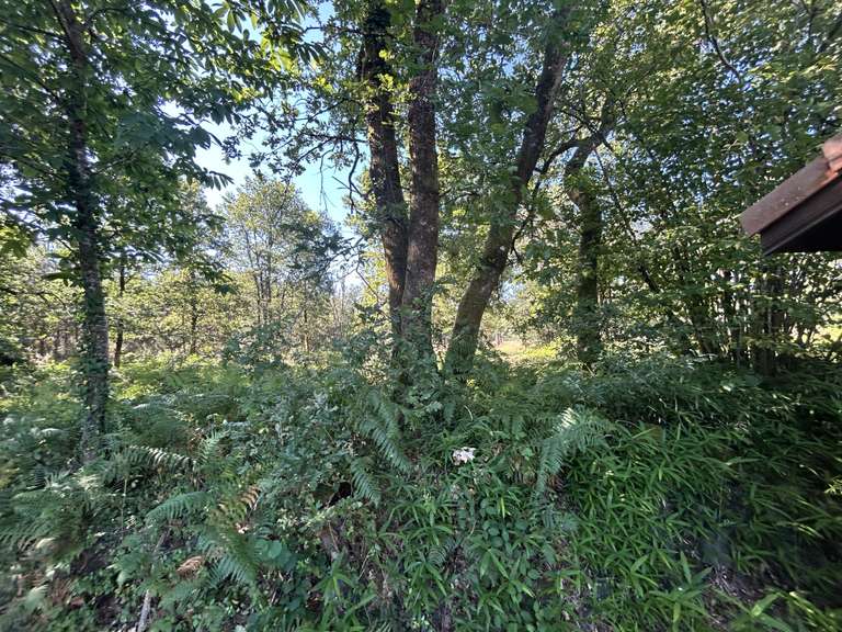 Maison Soustons - 5 chambres - 116m²