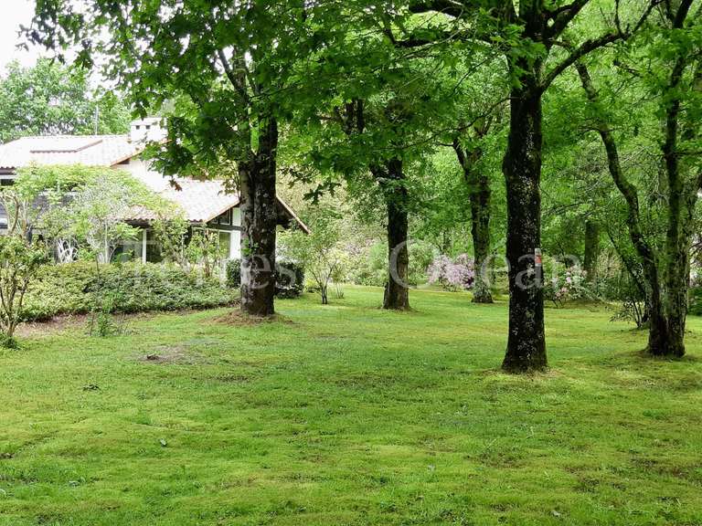 Maison Soustons - 5 chambres - 180m²