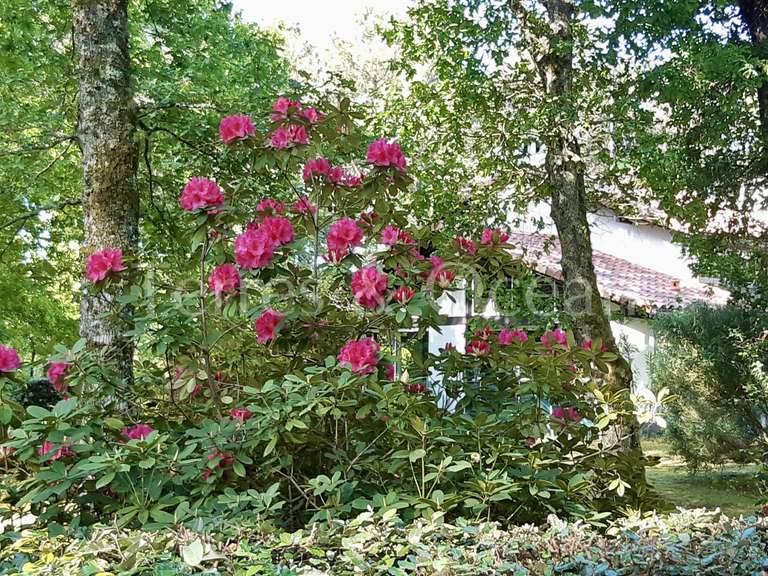 Maison Soustons - 5 chambres - 180m²