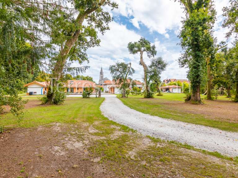 House Soustons - 11 bedrooms - 540m²