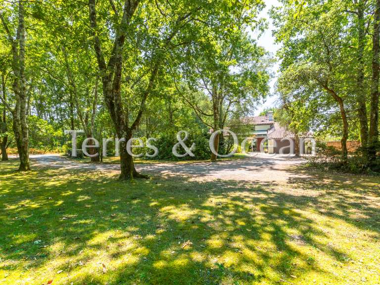 Maison Soustons - 5 chambres - 180m²