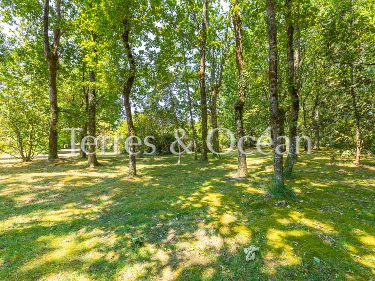 Maison Soustons - 5 chambres - 180m²