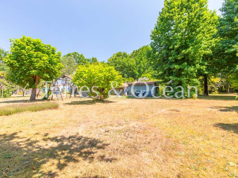 Maison Soustons - 5 chambres - 180m²