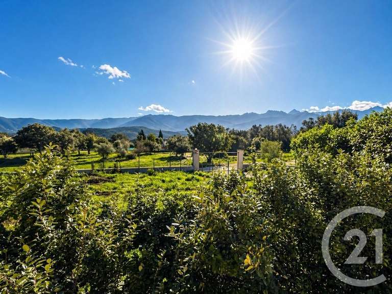 Maison Speloncato - 3 chambres - 151m²