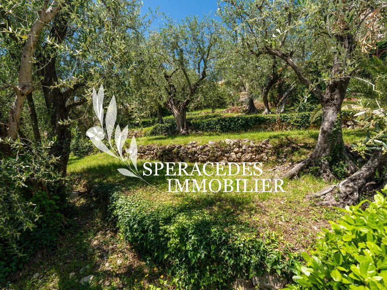 Maison Spéracèdes - 4 chambres - 180m²