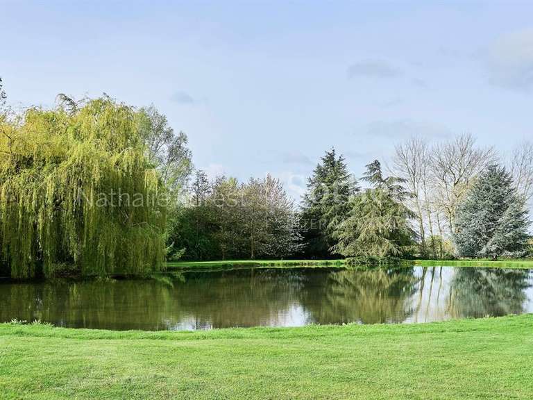 Maison Steenwerck - 4 chambres - 240m²