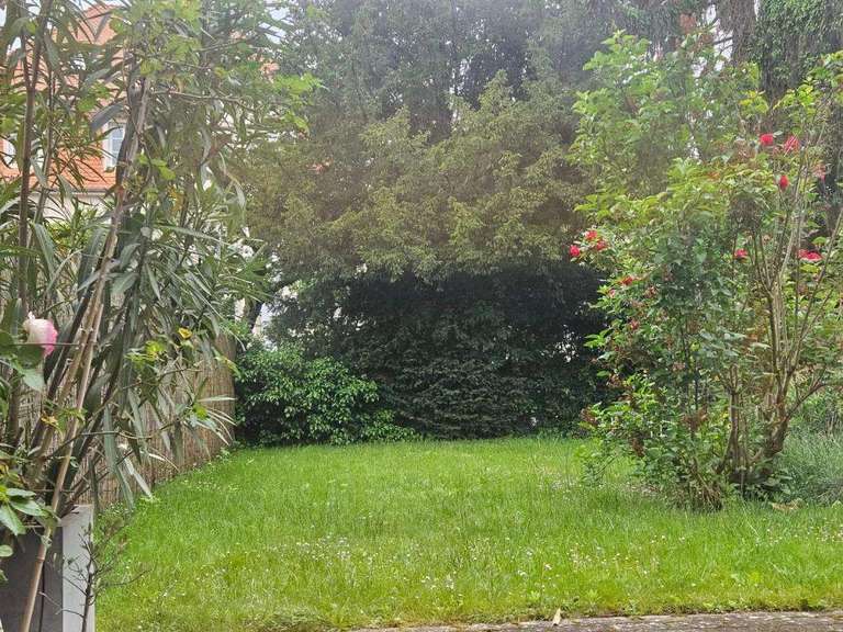 Appartement Strasbourg - 5 chambres