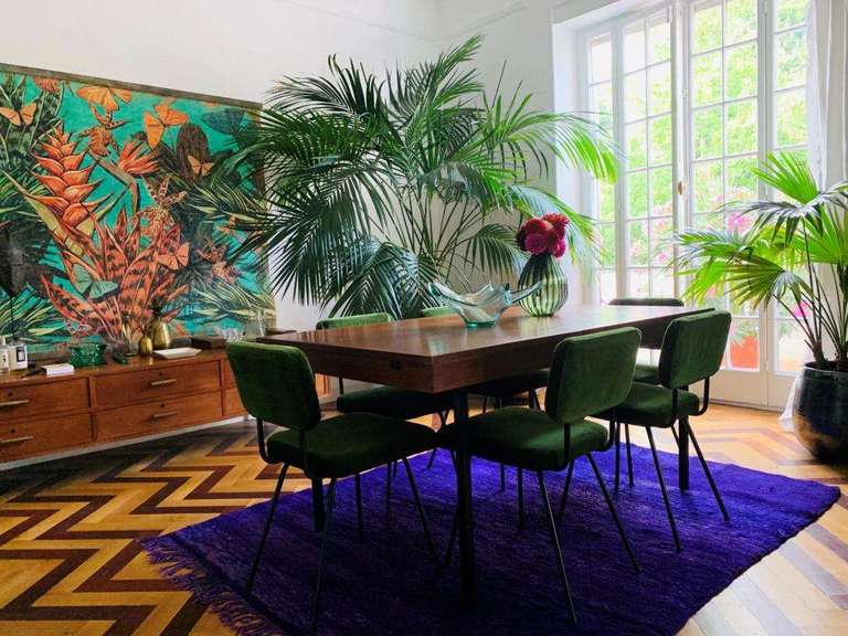 Appartement Strasbourg - 5 chambres