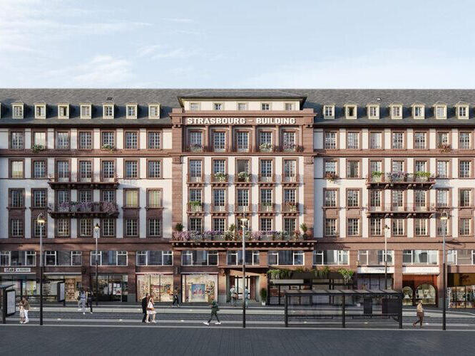 Vente Maison Strasbourg - 83 chambres