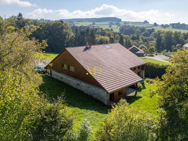 Chalet Grangettes-près-Romont - 4 bedrooms - 280m²