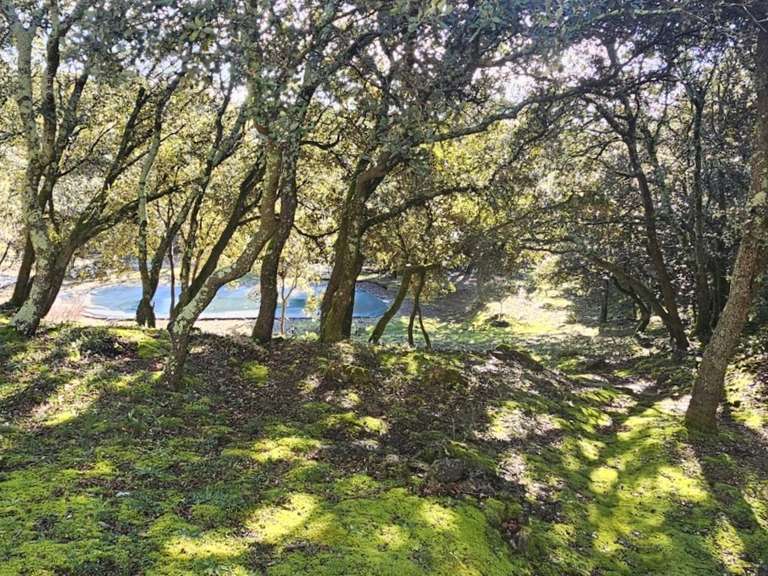 Maison Suze-la-Rousse - 3 chambres - 138m²