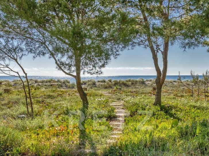 Maison avec Vue sur mer Taglio-Isolaccio - 5 chambres - 230m²