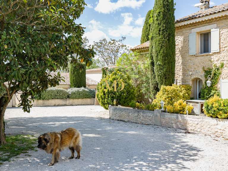 House Taillades - 13 bedrooms - 500m²