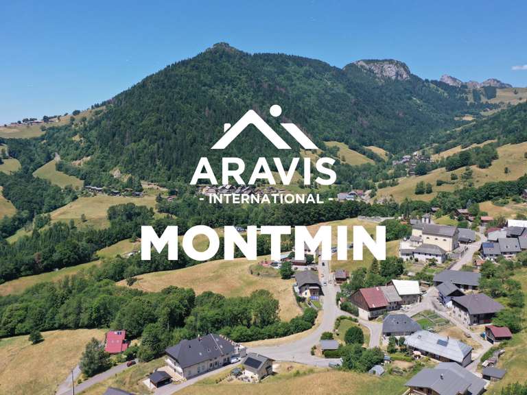 Maison Talloires-Montmin - 6 chambres - 261m²