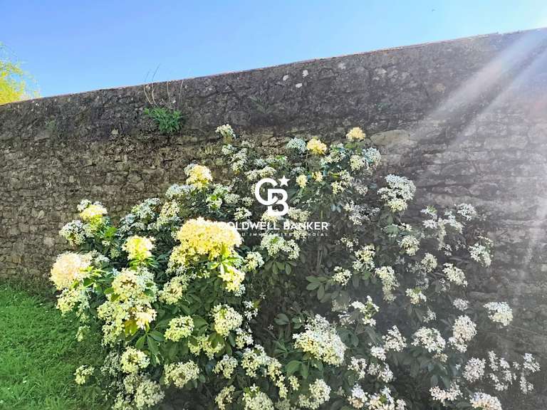 Château Talmont-Saint-Hilaire - 12 chambres - 700m²