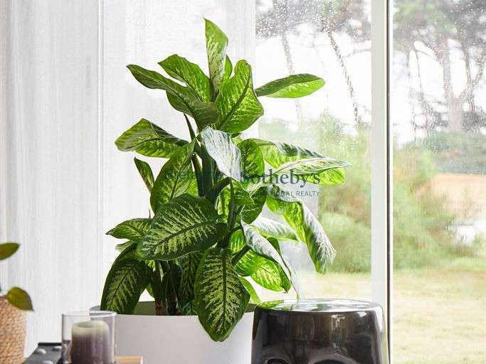 Maison avec Vue sur mer Talmont-Saint-Hilaire - 3 chambres - 180m²