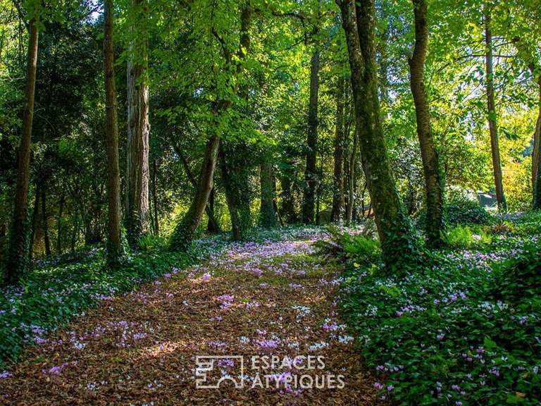 House Talmont-Saint-Hilaire - 8 bedrooms