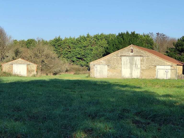 Maison Talmont-Saint-Hilaire - 4 chambres