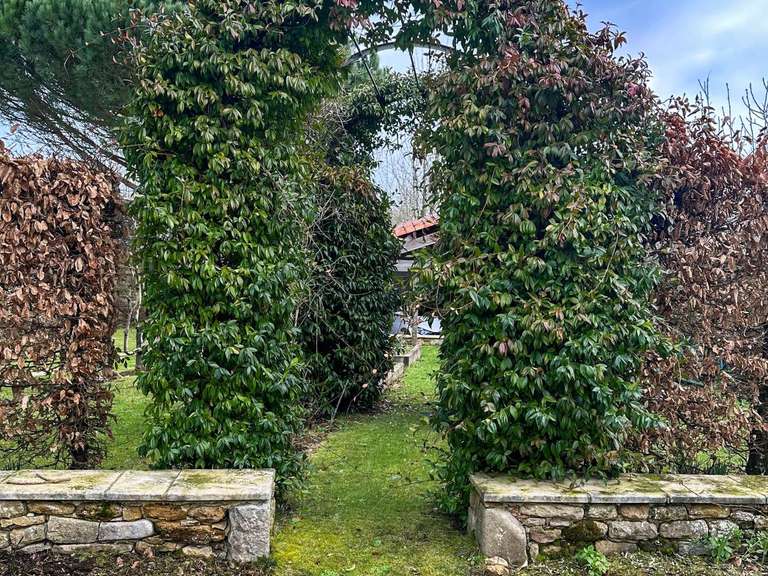 House Talmont-Saint-Hilaire - 7 bedrooms