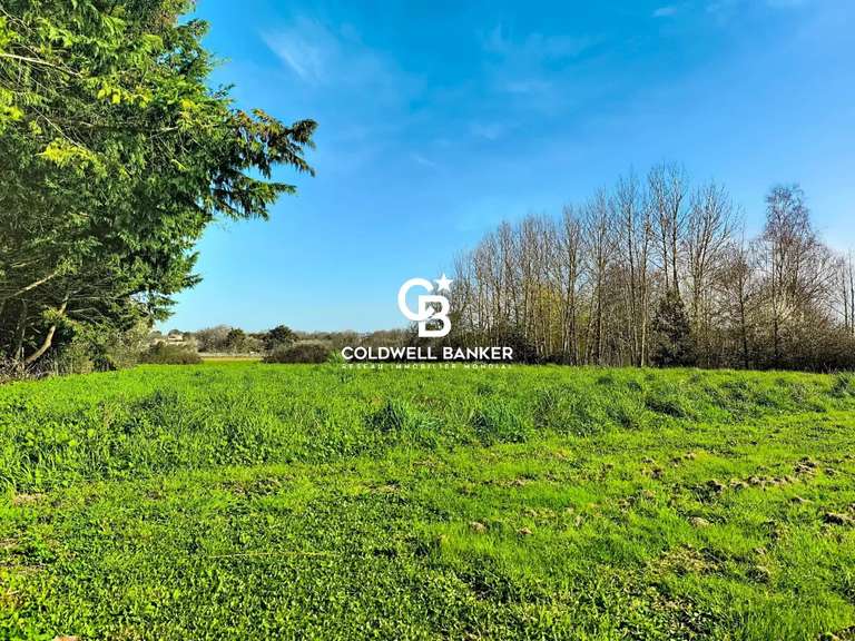 Maison Talmont-Saint-Hilaire - 3 chambres - 245m²