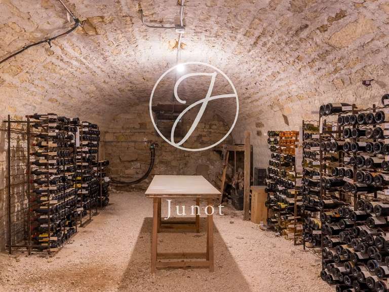 Maison Tannay - 8 chambres - 400m²