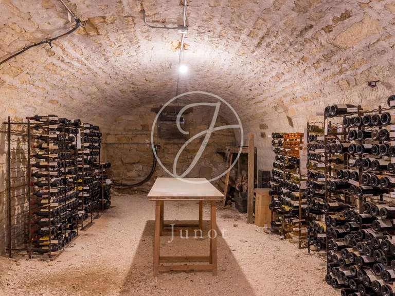 Maison Tannay - 4 chambres - 300m²