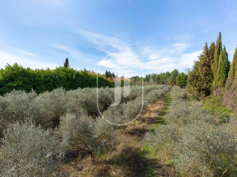 Villa Tarascon - 3 chambres - 157m²