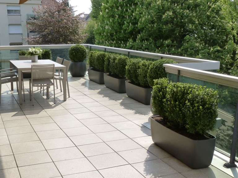 Appartement Tassin-la-Demi-Lune - 107m²