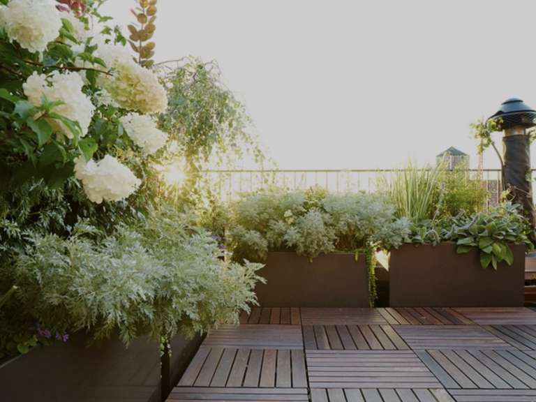 Apartment Tassin-la-Demi-Lune - 81m²